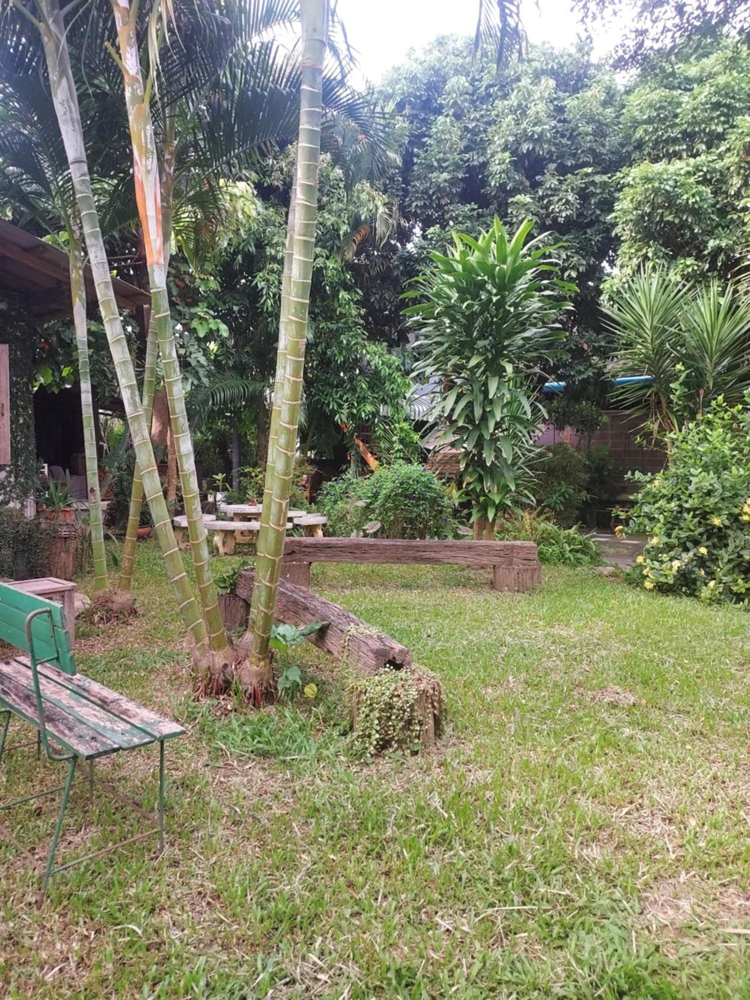 Kwanlah Homestay Мае Чаем Екстериор снимка